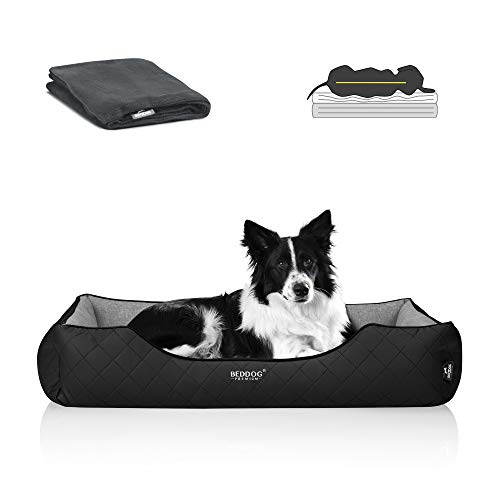 BedDog Premium Cama ortopédica para Perro WUFFI Espuma con Memoria, sofá para Perro, Felpa Regalo - The-Rock (Negro/Gris)
