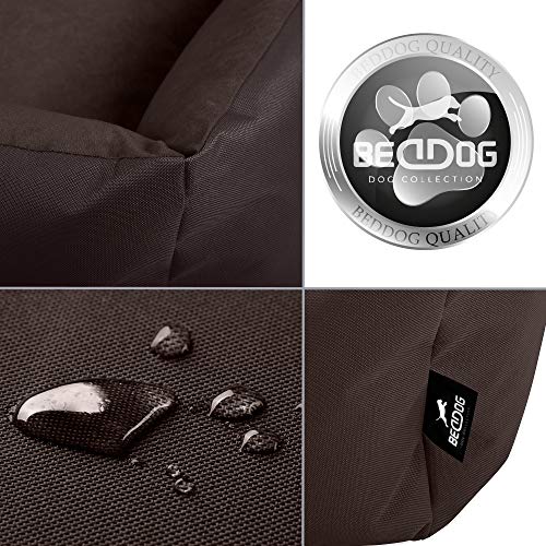 BedDog® Zara colchón para Perro S hasta XXXL, 10 Colores, Cama para Perro, sofá para Perro, Cesta para Perro, S, Chocolate (marrón)