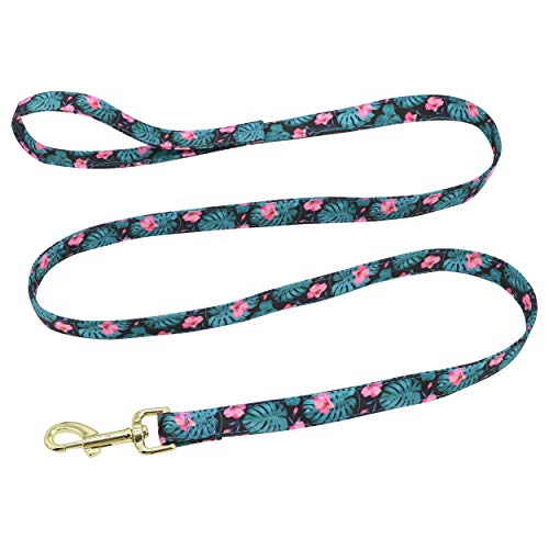 Beirui Collar de perro y plomo personalizado para perros femeninos, diseño floral grabado collares para mascotas con hebilla dorada personalizada (patrón verde, L)