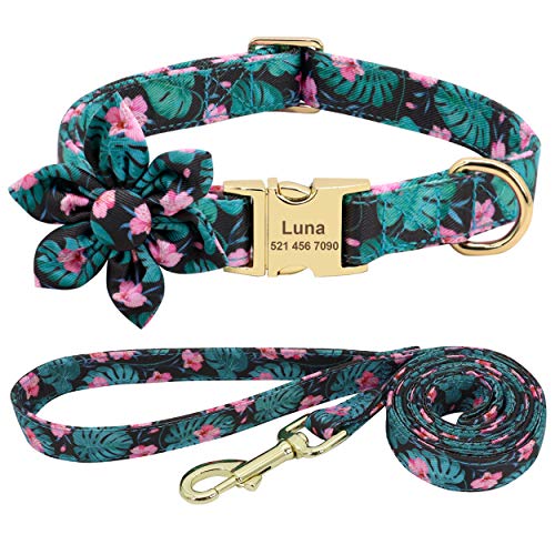 Beirui Collar de perro y plomo personalizado para perros femeninos, diseño floral grabado collares para mascotas con hebilla dorada personalizada (patrón verde, L)