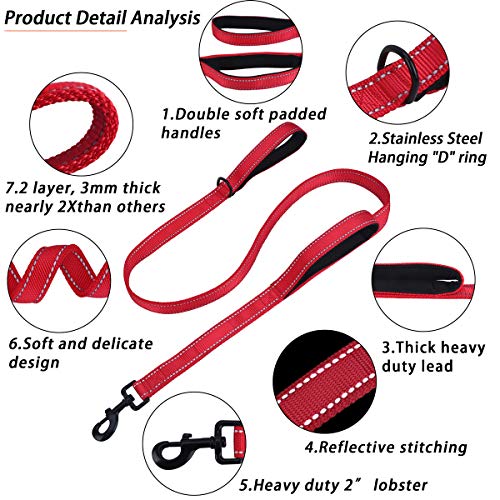 Belababy Correa para Perros Mediana, Correa para Perros con Doble asa de 5 pies, Correa para Perros Reflectante Hecha de Nylon Duradero, Correa de 150 cm Perros medianos o pequeños