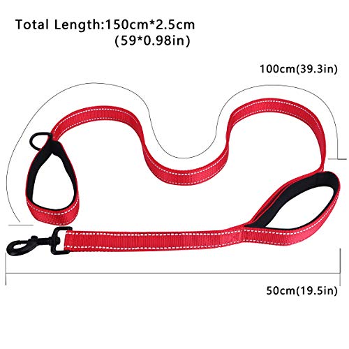 Belababy Correa para Perros Mediana, Correa para Perros con Doble asa de 5 pies, Correa para Perros Reflectante Hecha de Nylon Duradero, Correa de 150 cm Perros medianos o pequeños