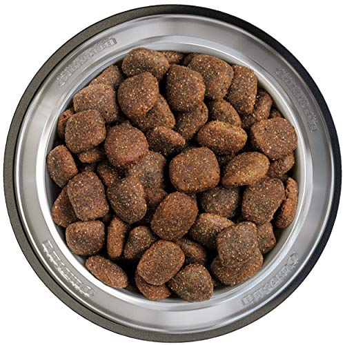 Belcando Adult Active 12,5kg