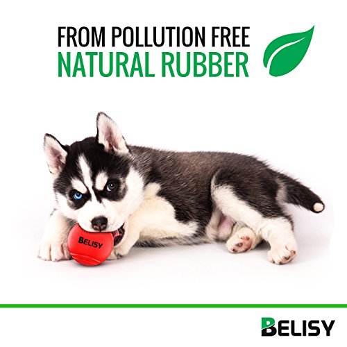 BELISY Pelota Perro - Juegos para Perros - Adecuado para Perros Grandes y Pequeños - Pelota Hinchable Perro - Hecho de Caucho Natural y Ecológico - Rojo