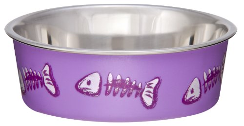 Bella Bowl Cuenco para Pescado, XS – Cuenco de Acero Inoxidable con Parte Inferior de Goma Antideslizante – Apto para Perros y Gatos – Resistente a Las bacterias y Apto para lavavajillas – Morado