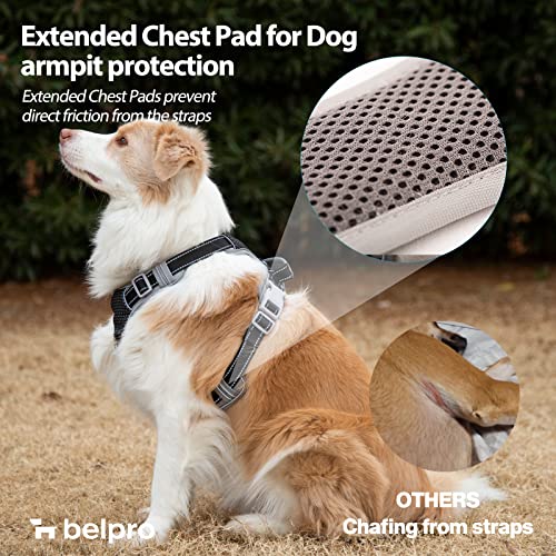 BELPRO Arnés para Perros Mediano sin Tirar, Chaleco Reflectante de Cuerpo Completo para Mascotas con Mango Acolchado de Cuero Suave, Delantero y Trasero, 2 Anillos en D de Metal Resistente, Negro, M