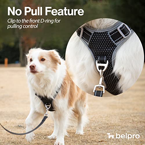 BELPRO Arnés para Perros Mediano sin Tirar, Chaleco Reflectante de Cuerpo Completo para Mascotas con Mango Acolchado de Cuero Suave, Delantero y Trasero, 2 Anillos en D de Metal Resistente, Negro, M