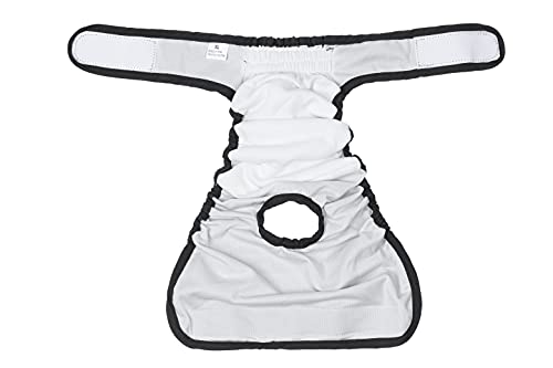 BePetMia Pañales Lavables para Perras, Calzoncillos Higiénicos para Perras en Celo, 5 Tallas de XS a XL, Apto para Todas Las Perras con Incontinencia (M: 40-55cm, Beige)