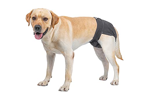 BePetMia Pañales Lavables para Perras, Calzoncillos Higiénicos para Perras en Celo, 5 Tallas de XS a XL, Apto para Todas Las Perras con Incontinencia (L: 48-65cm, Negro)