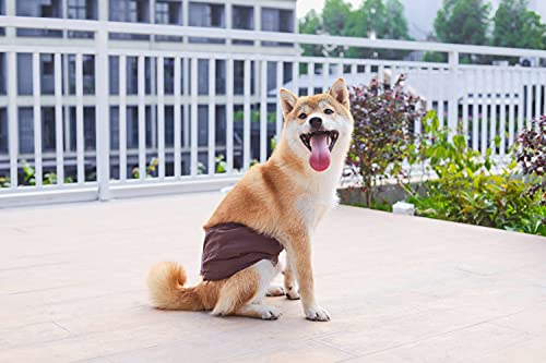 BePetMia Pañales Lavables para Perros machos, Ropa Interior higiénica para Cachorros, Perros en celo e incontinencia, 5 Tallas para Perros pequeños, medianos y Grandes (XS: 22-32cm, Set-2)