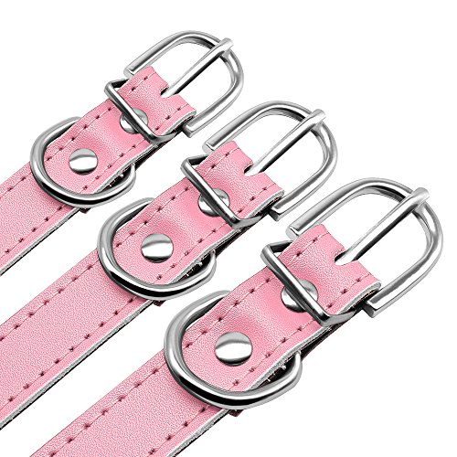 BERRY - Collar para Perro o Gato Acolchado de Piel sintética Suave, Color Azul/Rojo/Negro/Rosa, XS/S/M