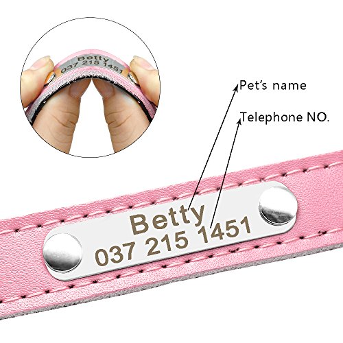 BERRY - Collar para Perro o Gato Acolchado de Piel sintética Suave, Color Azul/Rojo/Negro/Rosa, XS/S/M