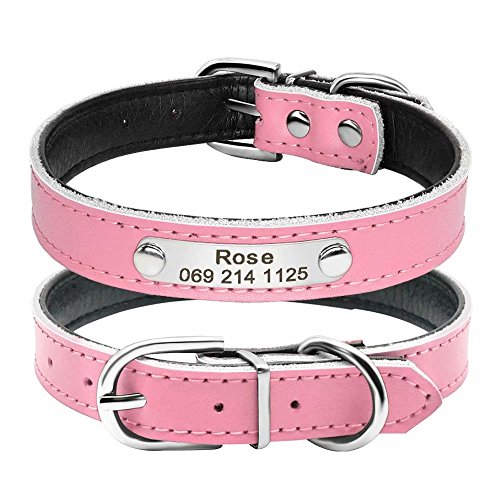 BERRY - Collar para Perro o Gato Acolchado de Piel sintética Suave, Color Azul/Rojo/Negro/Rosa, XS/S/M