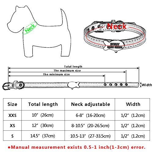 Berry Collar personalizado acolchado para mascota, etiqueta de identificación para gatos pequeños, XS