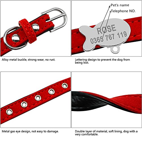 Berry Collar personalizado acolchado para mascota, etiqueta de identificación para gatos pequeños, XS