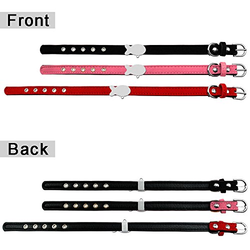 Berry Collar personalizado acolchado para mascota, etiqueta de identificación para gatos pequeños, XS