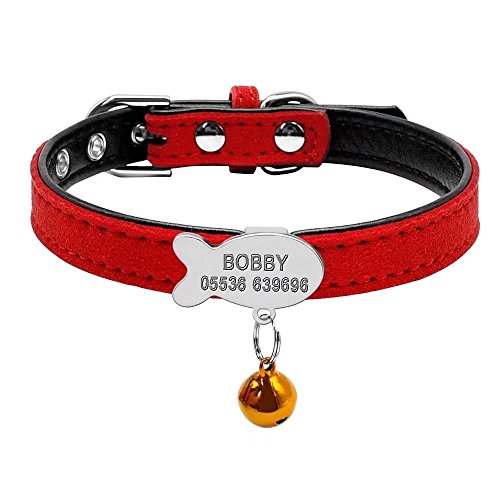 Berry Collar personalizado acolchado para mascota, etiqueta de identificación para gatos pequeños, XS