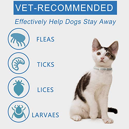 Beste Band mejor collar de garrapatas para perros y gatos pequeños, medianos y grandes, impermeable, protección contra pulgas y garrapatas natural Protección eficaz contra las pulgas (para perros)
