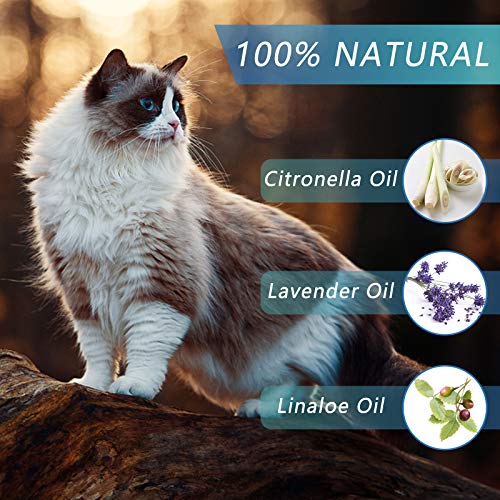 Beste Band mejor collar de garrapatas para perros y gatos pequeños, medianos y grandes, impermeable, protección contra pulgas y garrapatas natural Protección eficaz contra las pulgas (para perros)