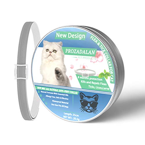 Beste Band mejor collar de garrapatas para perros y gatos pequeños, medianos y grandes, impermeable, protección contra pulgas y garrapatas natural Protección eficaz contra las pulgas (para perros)