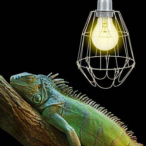 BHDD Portalámparas de calefacción para Reptiles, Exquisito Protector de lámpara de Calor para Reptiles, Tortuga Profesional de Seguridad para Reptiles