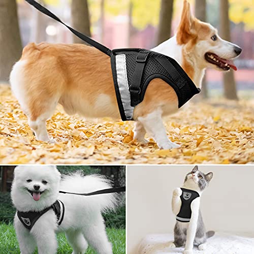 Bigqin Arnés para Gatos con arnés de Correa para Gatos Arnés para Gatitos con arnés Ajustable para Gatos con Rayas Reflectantes, Negro, L