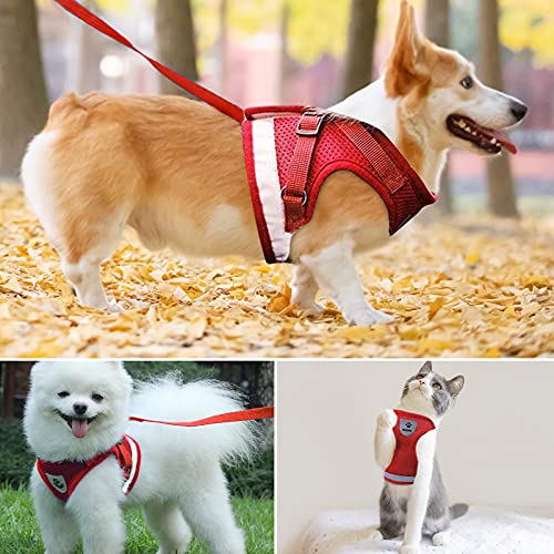 Bigqin Arnés para Gatos con Correa arnés para Gatos arnés para Gatitos con Rayas Reflectantes arnés Ajustable para Gatos, Rojo, M