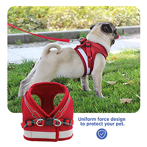 Bigqin Arnés para Gatos con Correa arnés para Gatos arnés para Gatitos con Rayas Reflectantes arnés Ajustable para Gatos, Rojo, M