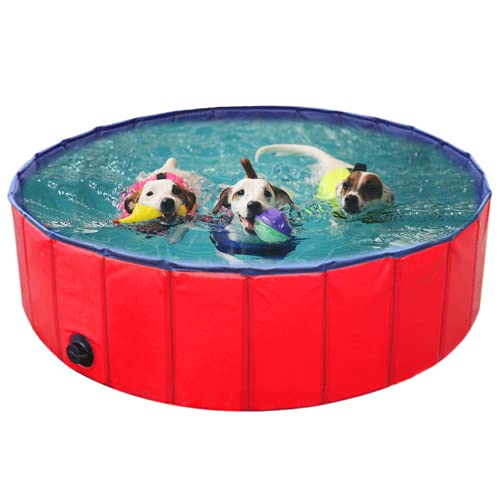 BingoPaw Piscina para Perros Grandes,Piscina Perros Grandes 120 Piscina Mascotas Plegable Piscina Plegable Niños Banera Plegable Portatil Bañera Piscina Interior Exterior 120x30 cm Dog Padding Pool