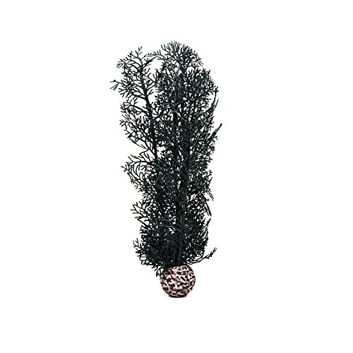 biOrb Gorgonia de color negro en tamaño M