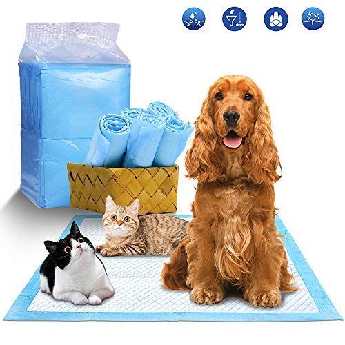 Bizcasa Empapadores de adiestramiento para Perros, Toallitas de Entrenamiento para Mascotas, Ultraabsorbente 60 * 60cm,Súper Absorbentes, Almohadillas de Entrenamiento Ecológicas para Perros Medianos