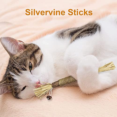 BMBN Juguetes para Gatos Silvervine Sticks Limpieza de Dientes Juguete Interactivo para Masticar para Gatos de Interior Palillo de dentición para Gatitos para Todas Las Edades