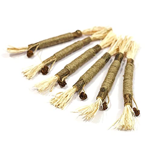 BMBN Juguetes para Gatos Silvervine Sticks Limpieza de Dientes Juguete Interactivo para Masticar para Gatos de Interior Palillo de dentición para Gatitos para Todas Las Edades