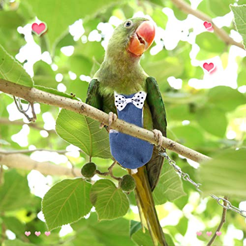 BMBN Pañal de pájaro, Bird Parrot Traje de Vuelo Palomas Periquito Ropa voladora Pañales