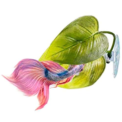 Bnwoinb Beta Fish Hamaca Planta Hoja Estera Peces ReproduccióN Reposo Cama
