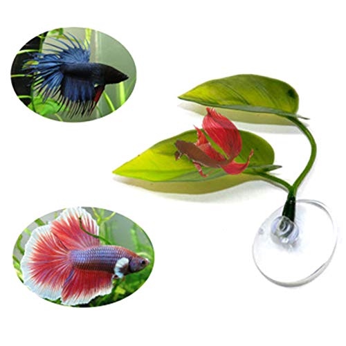 Bnwoinb Beta Fish Hamaca Planta Hoja Estera Peces ReproduccióN Reposo Cama