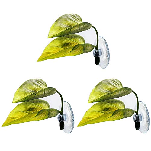 Bnwoinb Beta Fish Hamaca Planta Hoja Estera Peces ReproduccióN Reposo Cama