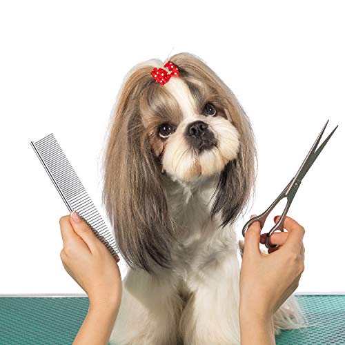 Boao Peine de Aseo de Mascotas de Acero Inoxidable Peine de Perros de Dientes Redondeados para Perros y Gatos Grandes, Medianos y Pequeños con Pelo Corto/Largo Enredado (19 x 4 cm)