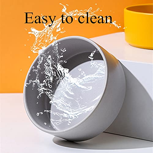 BOENTA Comedero Gato Comedero Perro Tazón de Gato Antideslizante Cuenco para Perros y Gatos Gato Bowl Set Inclinado Perro Criado de Gato Cuencos para Perros Medium,White