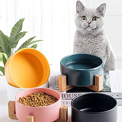 BOENTA Comedero Gato Comedero Perro Tazón de Gato Antideslizante Cuenco para Perros y Gatos Gato Bowl Set Inclinado Perro Criado de Gato Cuencos para Perros Medium,White