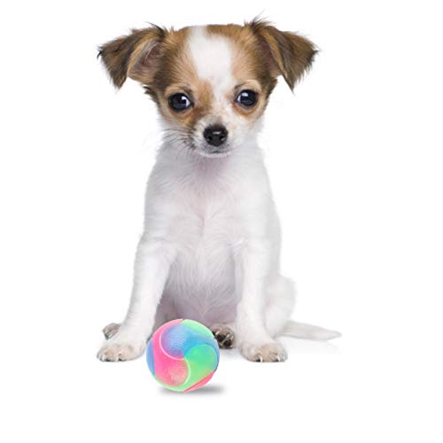 Bola Luminosa Perro, 2/3/4 Piezas Pelota De Juguete para Perro, Bola De Salto Perros Interactivo Elástico para Perros Y Gatos