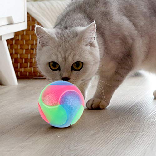 Bola Luminosa Perro, 2/3/4 Piezas Pelota De Juguete para Perro, Bola De Salto Perros Interactivo Elástico para Perros Y Gatos