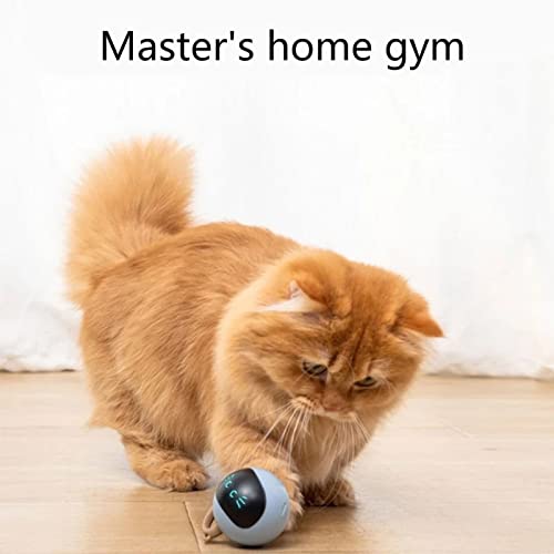 Bola mágica del juguete del gato, palo eléctrico inteligente del gato, bola del juguete que se autocura, carga inteligente eléctrica del animal doméstico del juguete del gato