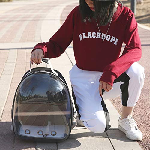 Bolsa de viaje para loro para mascotas, bolsa de viaje, cápsula espacial, para mascota, loro o pájaro, bolsa de viaje, cápsula espacial, transpirable 360 °, mochila transparente negro