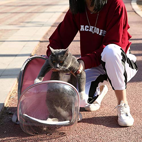 Bolsa de viaje para loro para mascotas, bolsa de viaje, cápsula espacial, para mascota, loro o pájaro, bolsa de viaje, cápsula espacial, transpirable 360 °, mochila transparente negro
