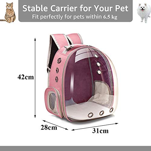 Bolsa Gato Bolsa De Transporte para Gatos, Transpirable, Transparente, para Mascotas, Perro, Gato, Mochila, Bolsa De Viaje, Bolsa De Transporte, Cápsu