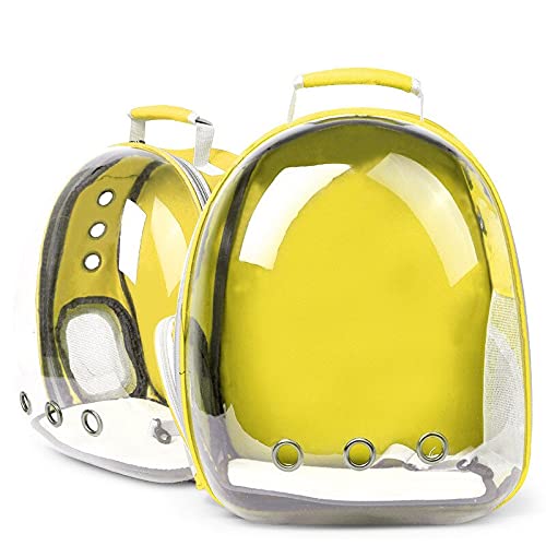 Bolsa Gato Bolsa De Transporte para Gatos, Transpirable, Transparente, para Mascotas, Perro, Gato, Mochila, Bolsa De Viaje, Bolsa De Transporte, Cápsu