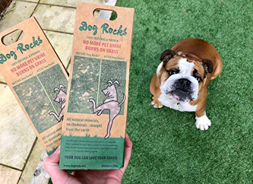 Bolso Preventivo de Parche de Orina Dog Rocks 100g