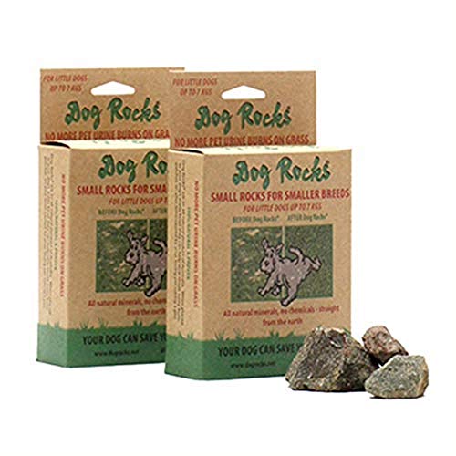 Bolso Preventivo de Parche de Orina Dog Rocks 100g