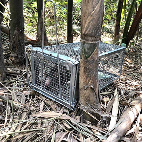 Bottam RatóN Rata Trampa Jaula Animal Vivo Plaga Roedor Control del RatóN Cebo Captura